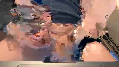 daddy_swede online show from November 5, 11:18 pm