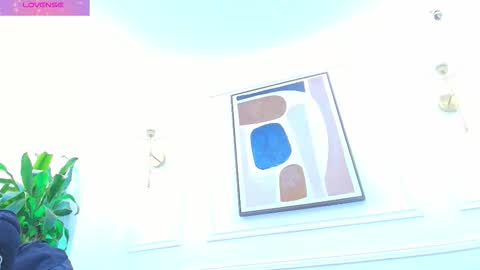 Daisy Price online show from November 10, 11:13 am