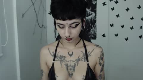 dakota online show from January 31, 8:01 am