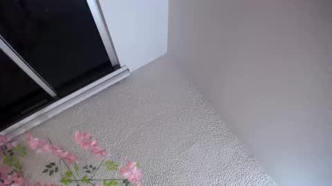 Snapshot of dalia_corrs0 chatting on October 4, 2:42 am online show from October 4, 2:42 am