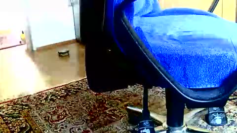 Dammerl online show from March 3, 12:23 pm