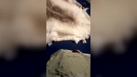 damontsi online show from March 22, 9:35 am