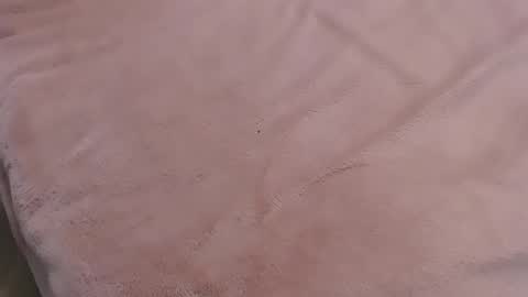 Snapshot of danadjuani chatting on January 11, 9:57 pm  Danna Lovense is activeThere are legends that in this room all your wishes can come true  Private is Open online show from January 11, 9:57 pm