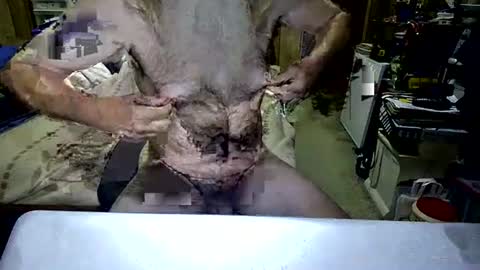 Dana online show from November 12, 3:47 pm