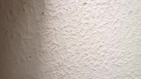 Antidotehot24 online show from October 3, 4:59 pm