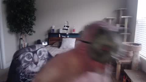 Danny bear online show from December 22, 3:00 pm