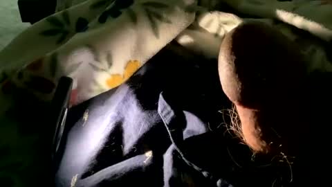 dannyboy621 online show from November 9, 1:58 pm