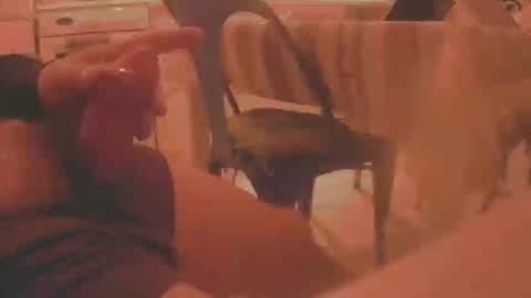 dardardar34 online show from November 28, 11:01 pm