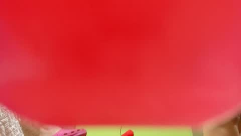 dariana_hot online show from December 21, 12:55 pm