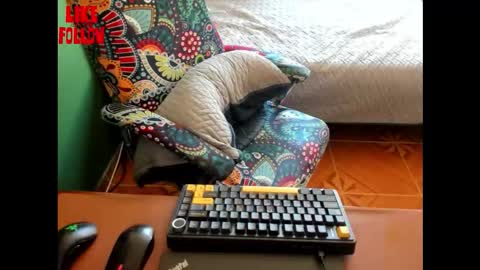 David online show from March 21, 7:18 pm