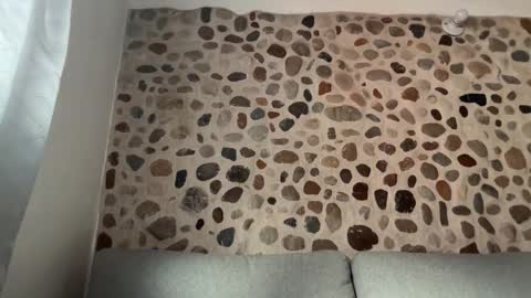 David online show from November 26, 10:06 pm