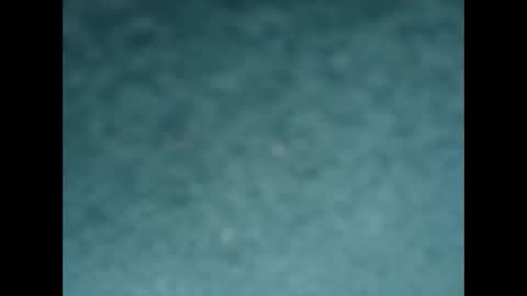 Snapshot of davidf75 chatting on October 8, 8:31 am davidf75 online show from October 8, 8:31 am