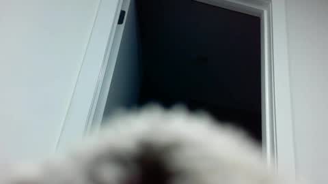 Snapshot of davyd11 chatting on September 18, 4:33 pm Davvyd online show from September 18, 4:33 pm