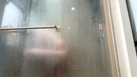 dayblue online show from February 7, 8:01 pm