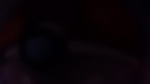 BiqThiqDiq42069 online show from January 11, 8:20 am