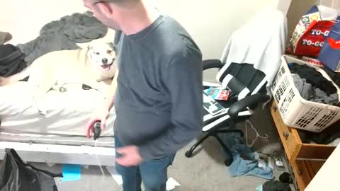 dbfroge online show from February 3, 12:51 am