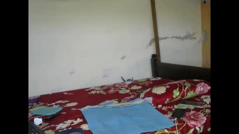 Ginger online show from March 3, 3:52 am