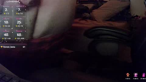 Steve online show from February 4, 5:31 am