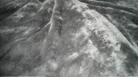 Daddy online show from July 1, 11:19 am