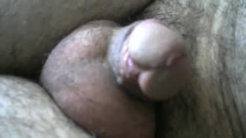 Bob online show from January 11, 8:33 am