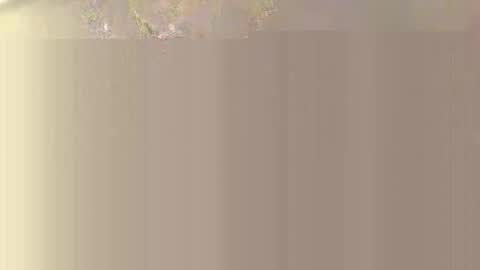 Snapshot of dimedoll33 chatting on October 16, 11:47 pm black american princess online show from October 16, 11:47 pm