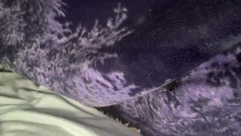 dimepiecebottom online show from September 10, 2:29 pm