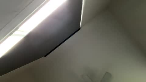 Snapshot of dino202310 chatting on October 25, 8:53 pm dino202310 online show from October 25, 8:53 pm