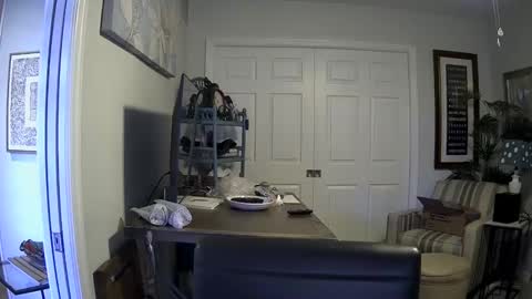 DirtkPitt Fun guy working online show from January 4, 6:40 pm