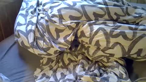 DKdad online show from April 6, 2:07 pm