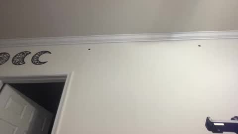 Snapshot of dlasian98 chatting on January 28, 11:39 pm DL Asian Sissy online show from January 28, 11:39 pm