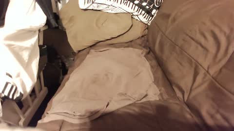 do4you2 online show from January 18, 2:23 pm