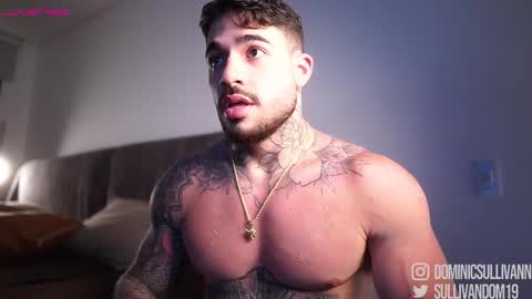 Dominic Sullivan online show from December 2, 2:21 am