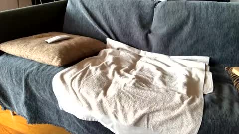 Alfredo online show from February 24, 9:53 am