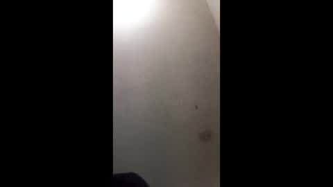 donkeykong34418301 online show from March 3, 6:09 am