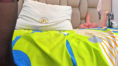  DOROTHY online show from February 2, 5:59 am