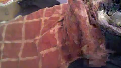 Hello  welcome to Slutsville  I am the Naked Chef  really  but you may call me Peter online show from November 8, 11:35 am