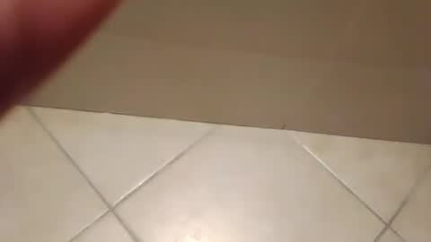 dthedog12 online show from December 1, 2:09 am