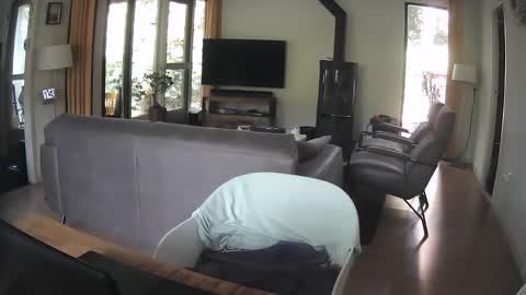 dutchsmooth online show from September 10, 9:43 am