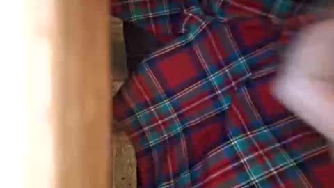 dVe1oPe online show from April 21, 10:11 am