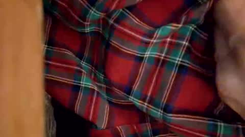 dVe1oPe online show from December 28, 8:37 am