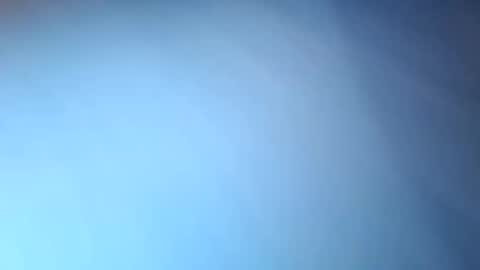 dwadek081704 online show from October 14, 2:42 pm