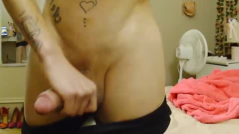 e_tz97 online show from December 2, 5:19 am