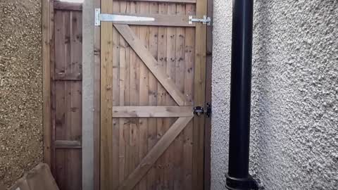 Snapshot of eatmypie69 chatting on September 23, 12:10 pm Nadia Ferreira  online show from September 23, 12:10 pm