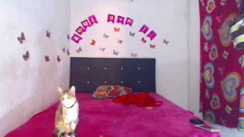 chayna smith online show from October 24, 8:37 am