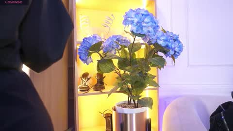 Elasummeer online show from December 20, 11:50 am