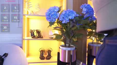 Elasummeer online show from November 10, 11:46 am