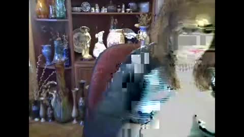 ElenaZed online show from March 1, 9:46 am