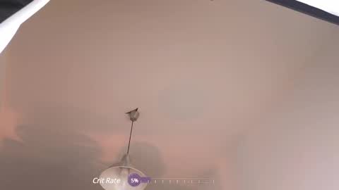 elliefrost online show from February 12, 12:37 am