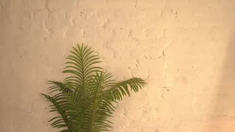 elliefrost online show from March 11, 12:22 am