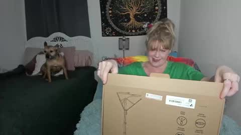 Snapshot of emberpheonixxx chatting on March 12, 3:46 am Ember Pheonixxx online show from March 12, 3:46 am